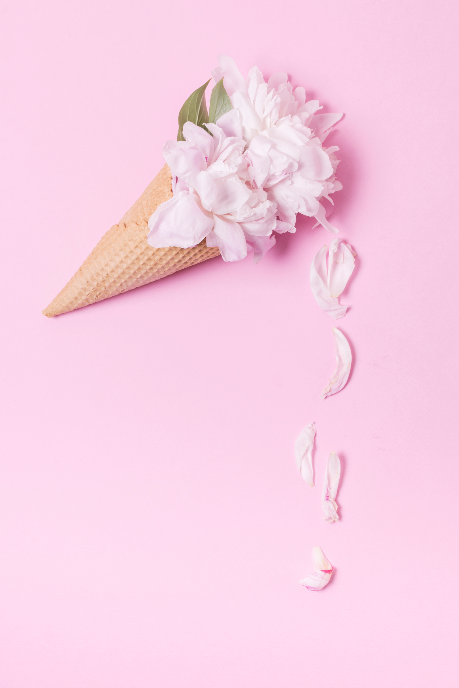 abstract floral ice cream cone with petals